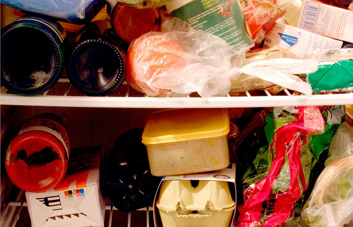 081319_Coltage-College-Cheese_750x450_Takes  - 空间内 - 迷你冰箱