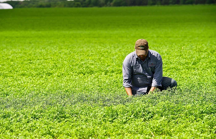 050119_SUSTainability Adsdsds_Field_700x450.